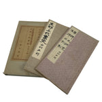 Japanese Book Chinese Ancient History Vtg Qin Han Stone Monuments Writings HN32