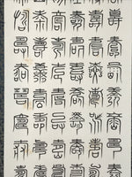 Japanese Boxed Hanging Scroll Kakejiku 100 Longevity Hyakujyu Calligraphy KJ163