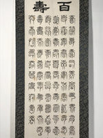 Japanese Boxed Hanging Scroll Kakejiku 100 Longevity Hyakujyu Calligraphy KJ163