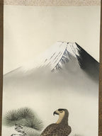 Japanese Boxed Hanging Scroll Kakejiku Vtg Hawk Pine Tree Mt Fuji Color KJ139