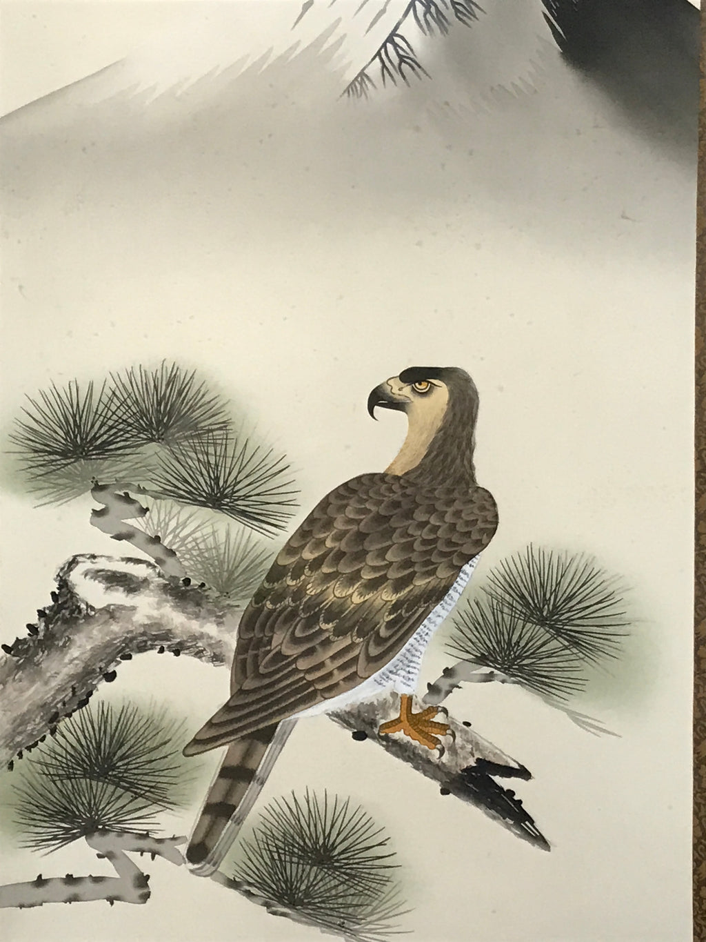 Japanese Boxed Hanging Scroll Kakejiku Vtg Hawk Pine Tree Mt Fuji Color KJ139