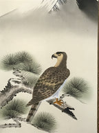Japanese Boxed Hanging Scroll Kakejiku Vtg Hawk Pine Tree Mt Fuji Color KJ139