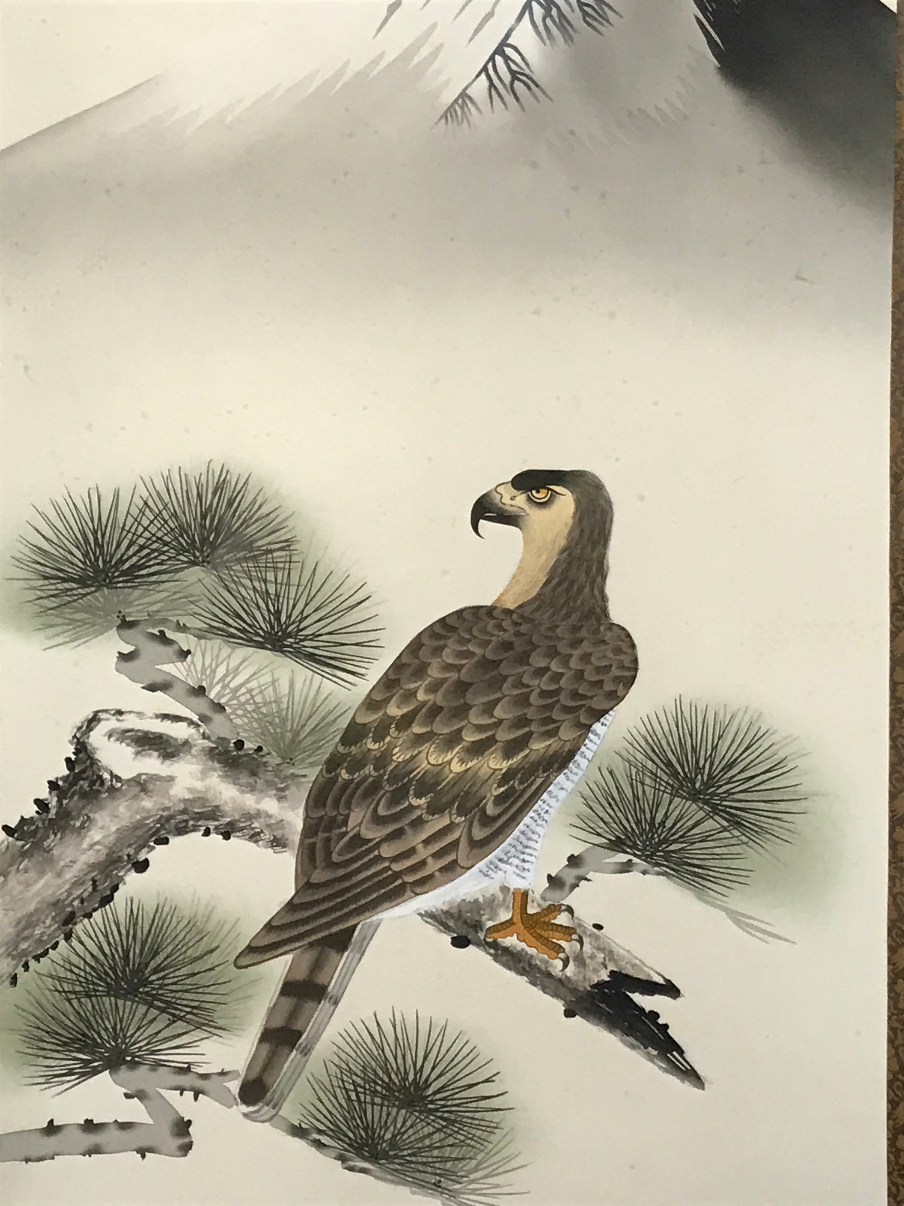 Japanese Boxed Hanging Scroll Kakejiku Vtg Hawk Pine Tree Mt Fuji Color KJ139