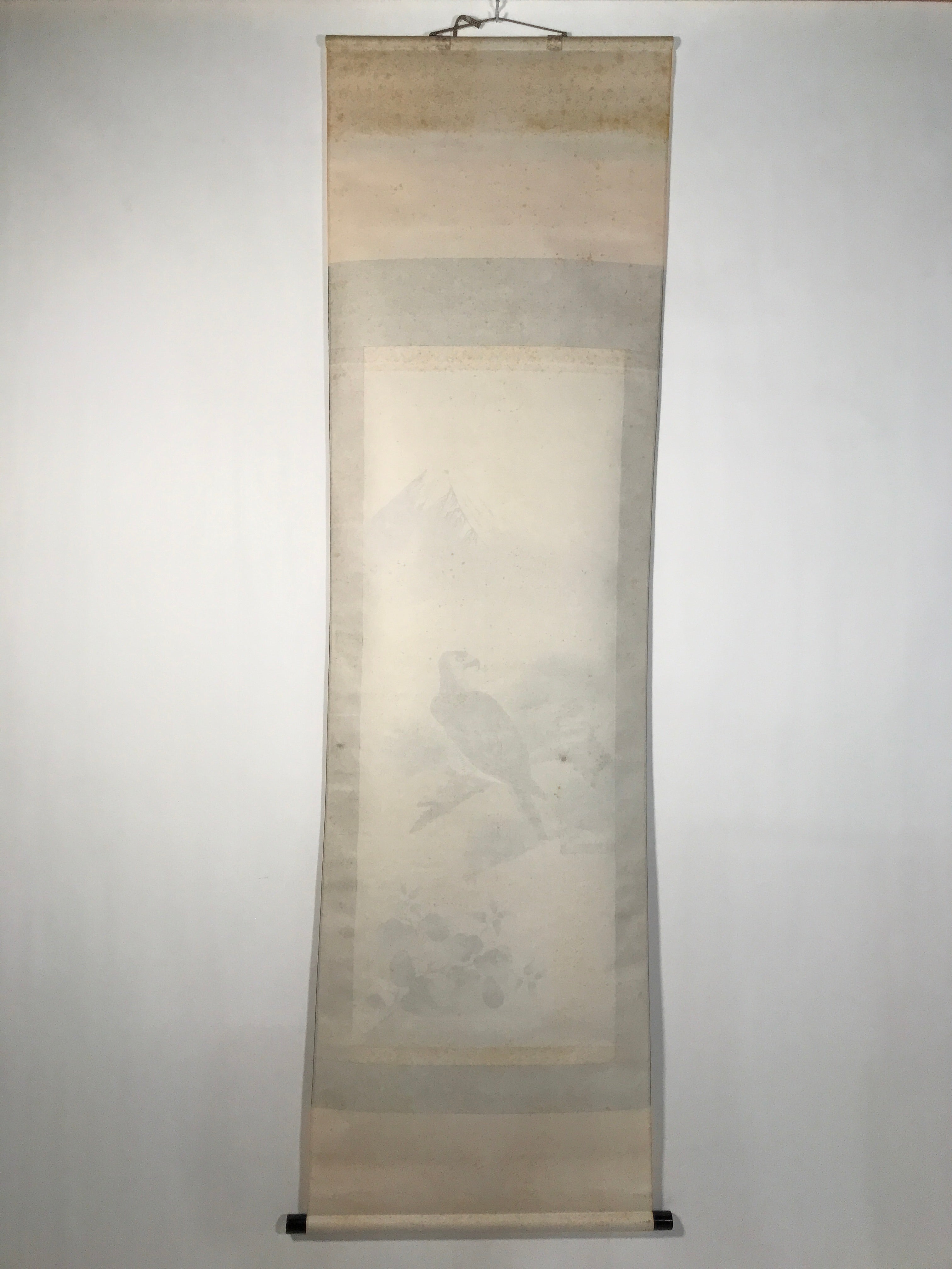 Japanese Boxed Hanging Scroll Kakejiku Vtg Hawk Pine Tree Mt Fuji Color KJ139