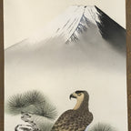 Japanese Boxed Hanging Scroll Kakejiku Vtg Hawk Pine Tree Mt Fuji Color KJ139