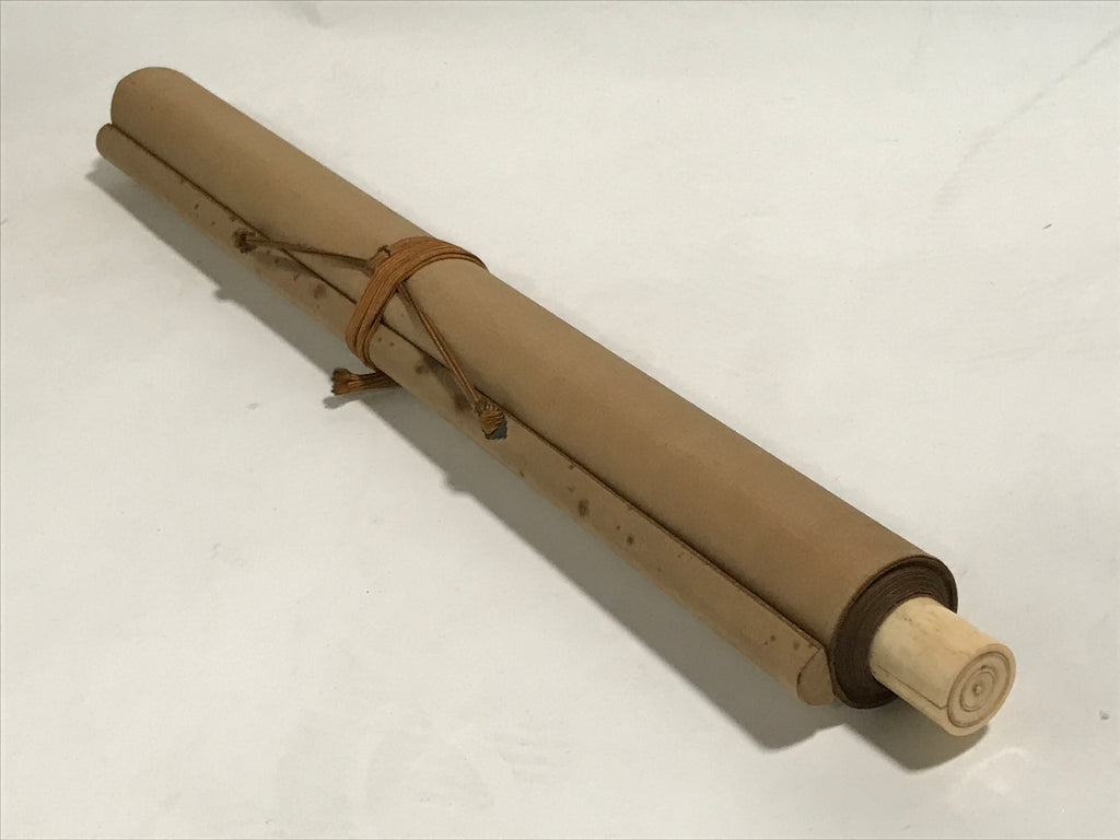 Japanese Boxed Hanging Scroll Kakejiku Vtg House Mountain Tree Color KJ135