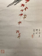 Japanese Boxed Hanging Scroll Kakejiku Vtg Owl Bird Tree Red Leaf Vine KJ136