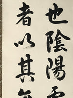 Japanese Boxed Hanging Scroll Kakejiku Vtg Philosophy Calligraphy Black KJ157