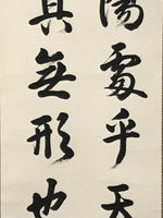 Japanese Boxed Hanging Scroll Kakejiku Vtg Philosophy Calligraphy Black KJ157