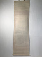 Japanese Boxed Hanging Scroll Kakejiku Vtg Waterfall Mountains Black White KJ141