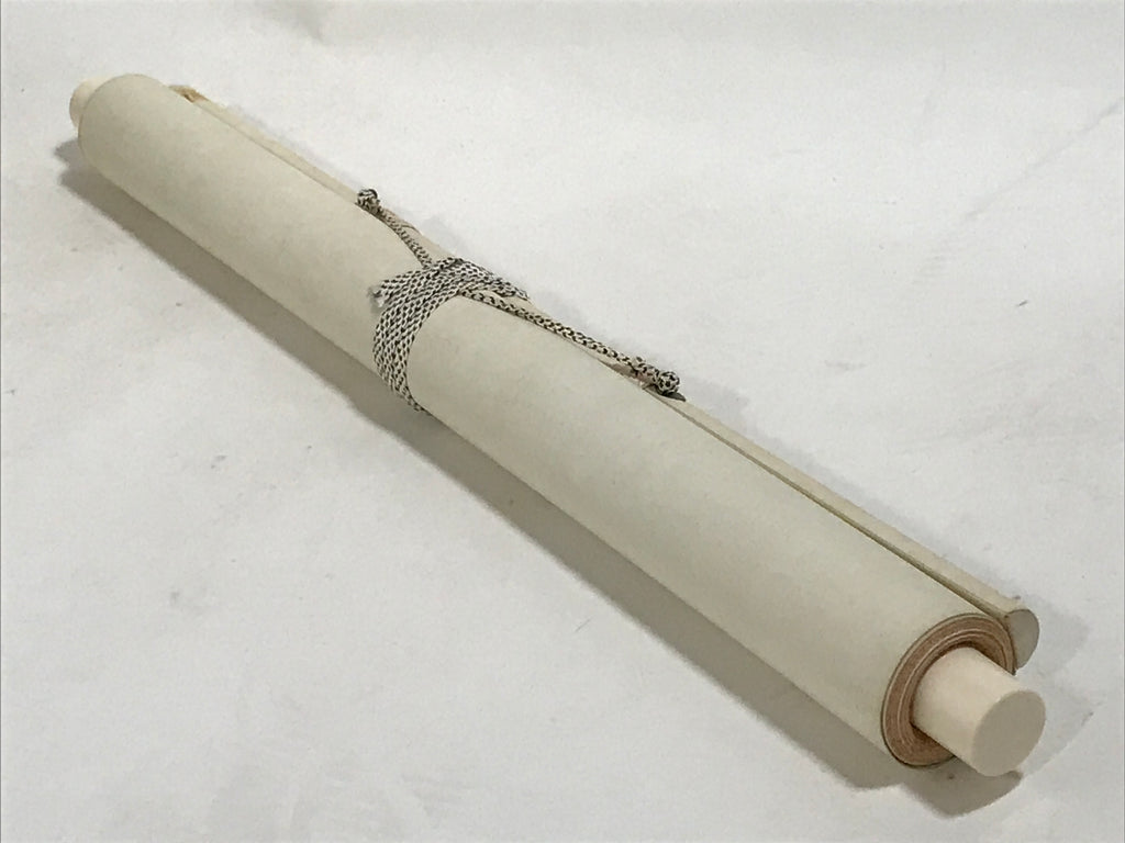 Japanese Boxed Hanging Scroll Kakejiku Vtg Waterfall Mountains Black White KJ141