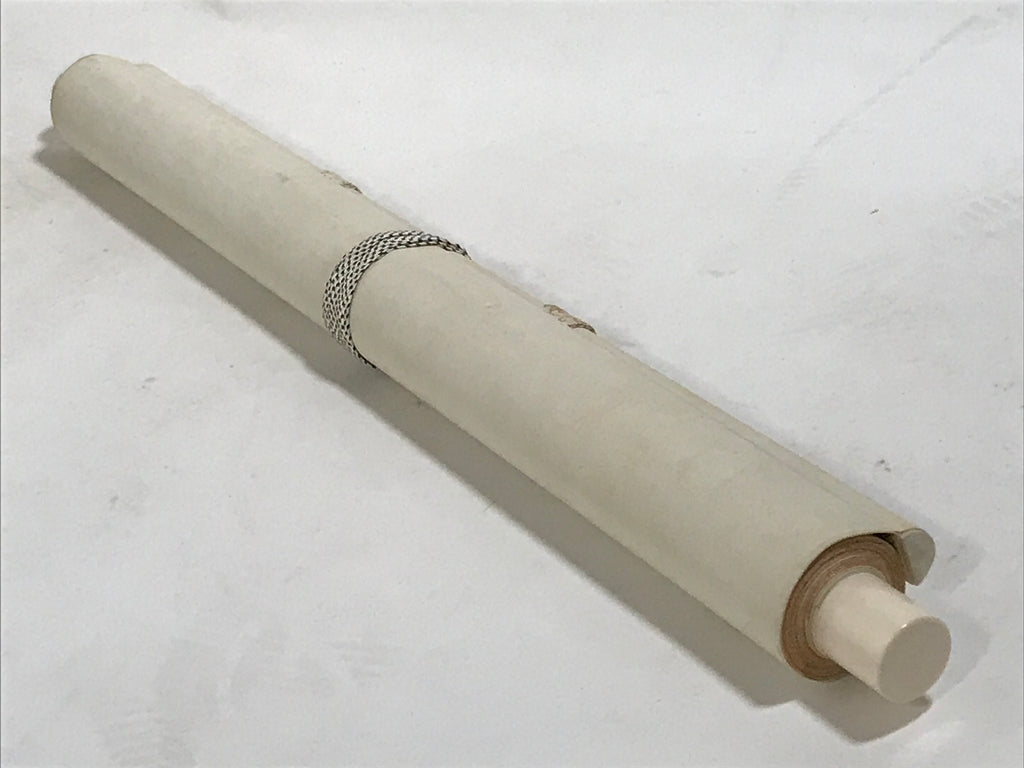 Japanese Boxed Hanging Scroll Kakejiku Vtg Waterfall Mountains Black White KJ141