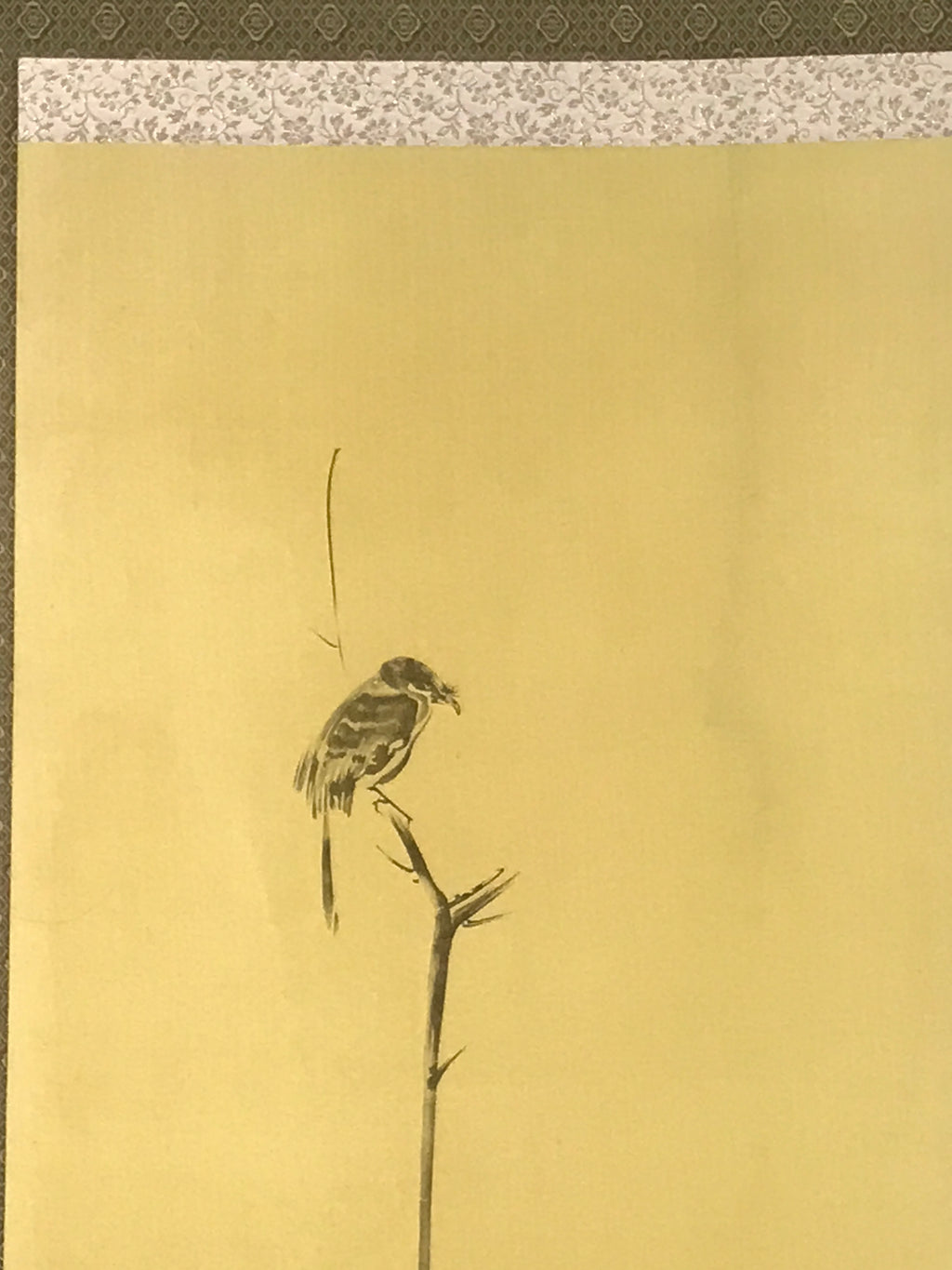 Japanese Boxed Hanging Scroll Vtg Bird Singing Old Tree Miyamoto Musashi KJ145