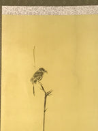 Japanese Boxed Hanging Scroll Vtg Bird Singing Old Tree Miyamoto Musashi KJ145