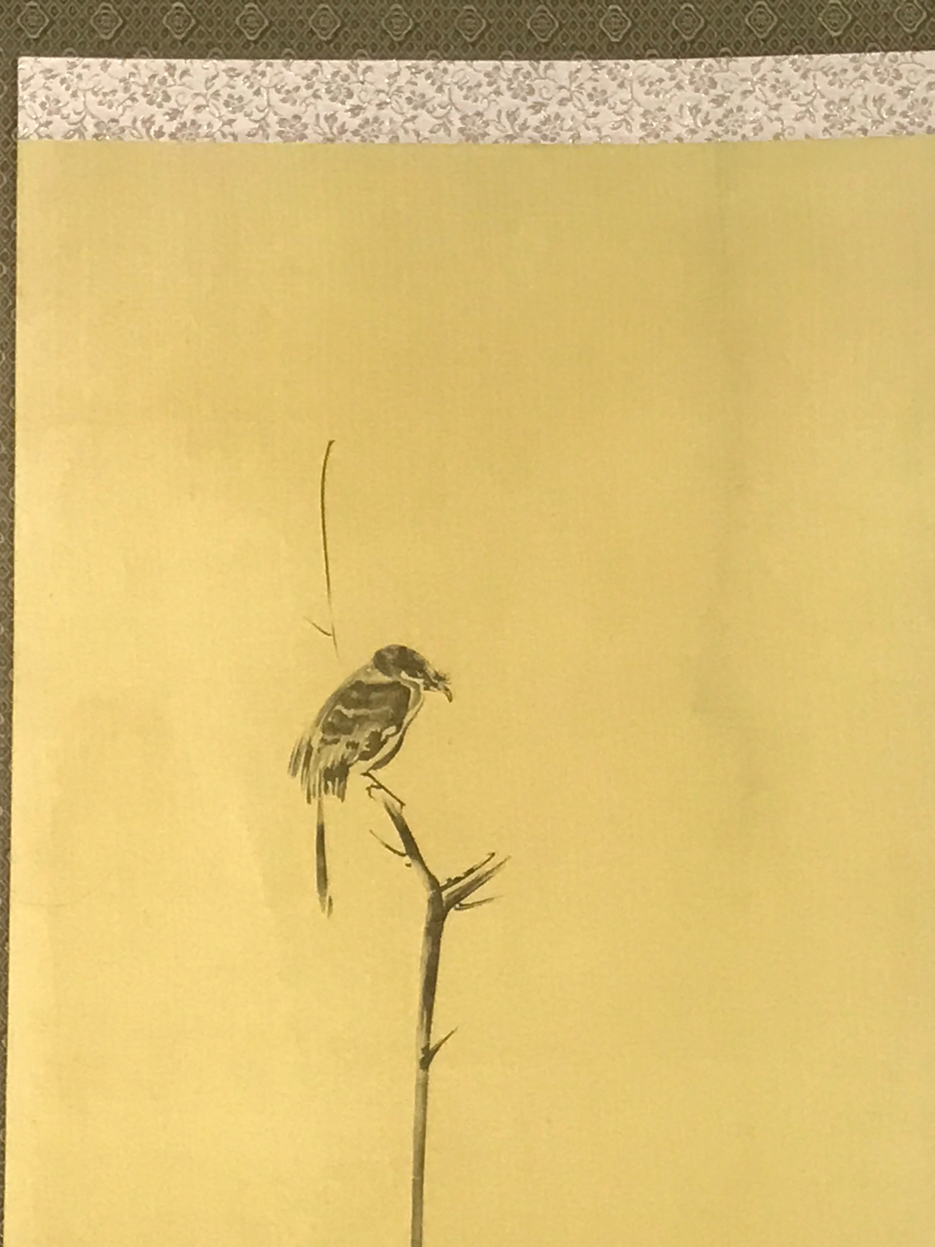 Japanese Boxed Hanging Scroll Vtg Bird Singing Old Tree Miyamoto Musashi KJ145