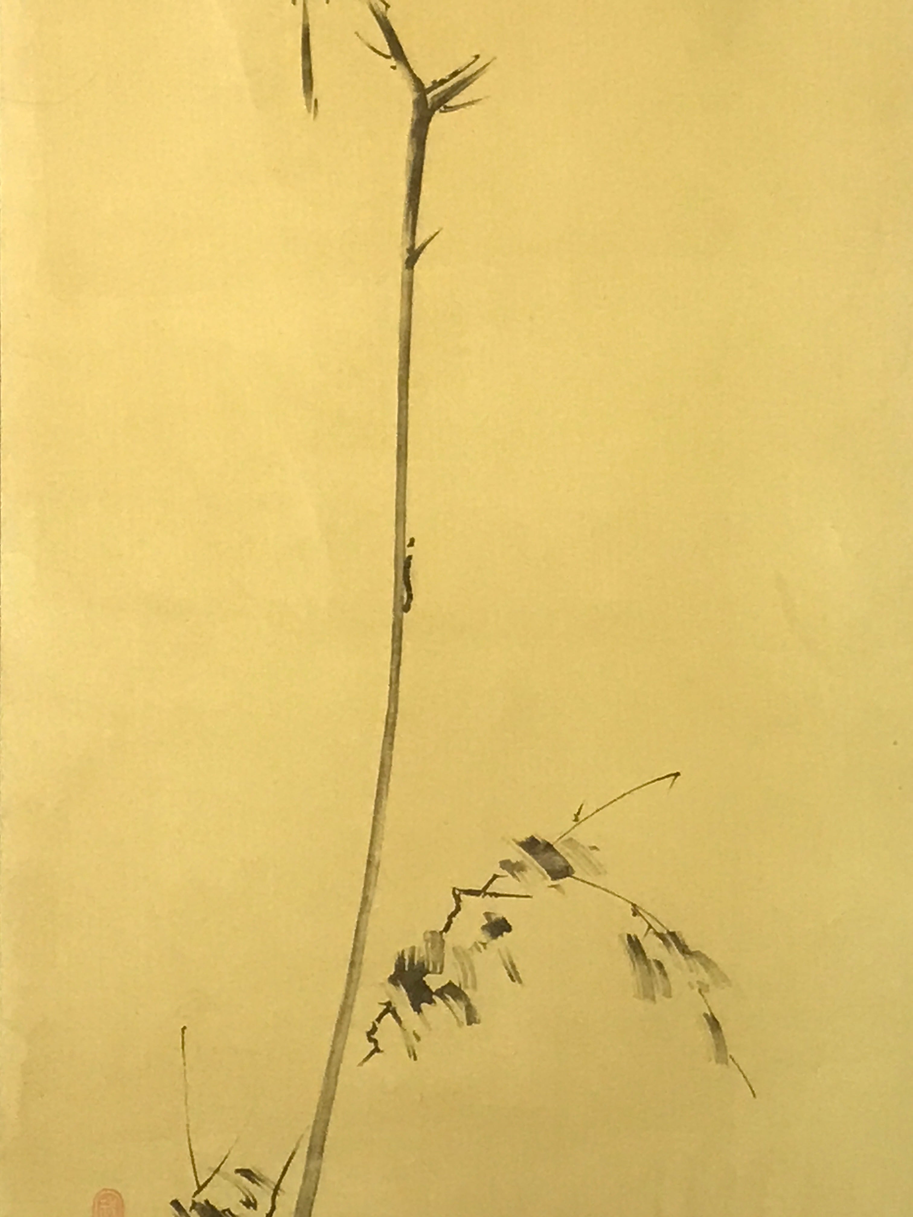 Japanese Boxed Hanging Scroll Vtg Bird Singing Old Tree Miyamoto Musashi KJ145