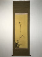 Japanese Boxed Hanging Scroll Vtg Bird Singing Old Tree Miyamoto Musashi KJ145