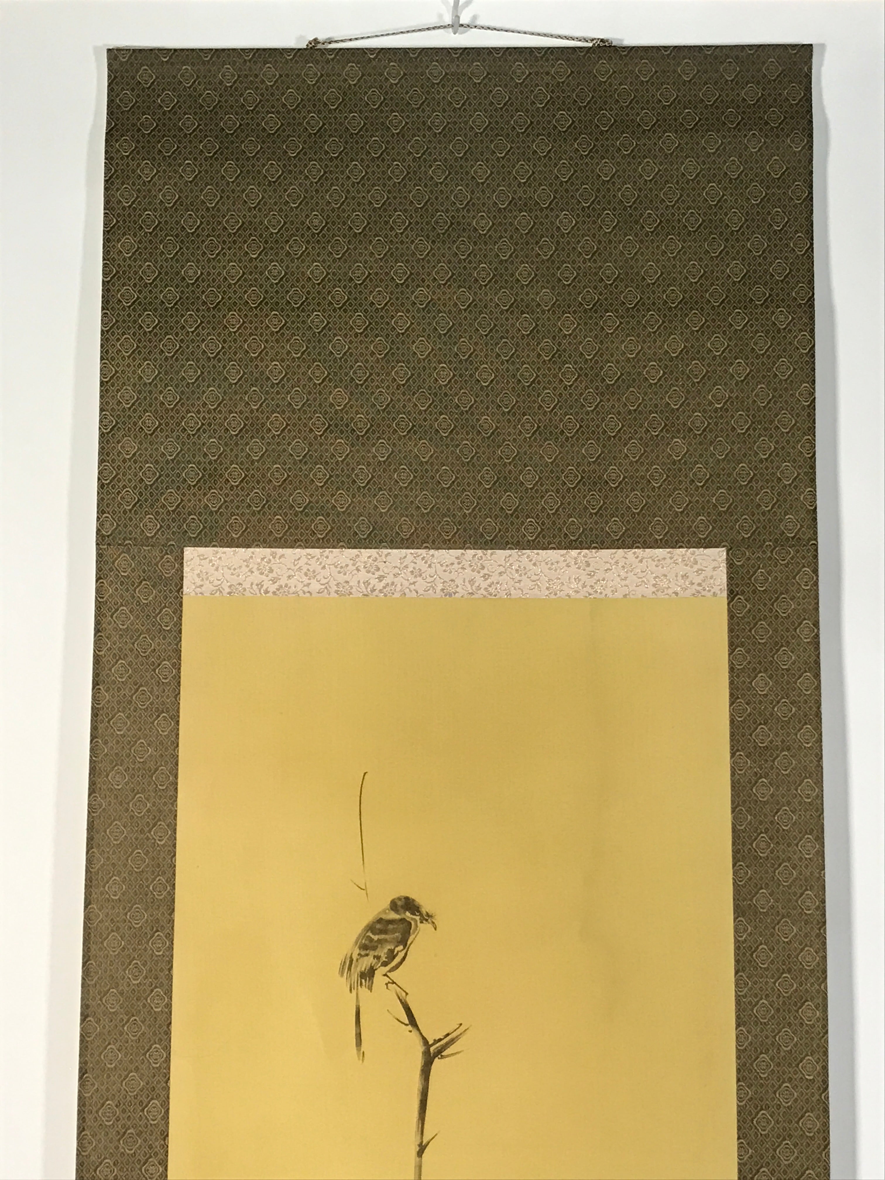 Japanese Boxed Hanging Scroll Vtg Bird Singing Old Tree Miyamoto Musashi KJ145