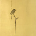 Japanese Boxed Hanging Scroll Vtg Bird Singing Old Tree Miyamoto Musashi KJ145