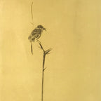 Japanese Boxed Hanging Scroll Vtg Bird Singing Old Tree Miyamoto Musashi KJ145