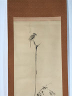 Japanese Boxed Hanging Scroll Vtg Bird Singing Old Tree Miyamoto Musashi KJ33
