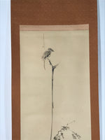 Japanese Boxed Hanging Scroll Vtg Bird Singing Old Tree Miyamoto Musashi KJ33