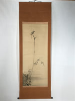 Japanese Boxed Hanging Scroll Vtg Bird Singing Old Tree Miyamoto Musashi KJ33
