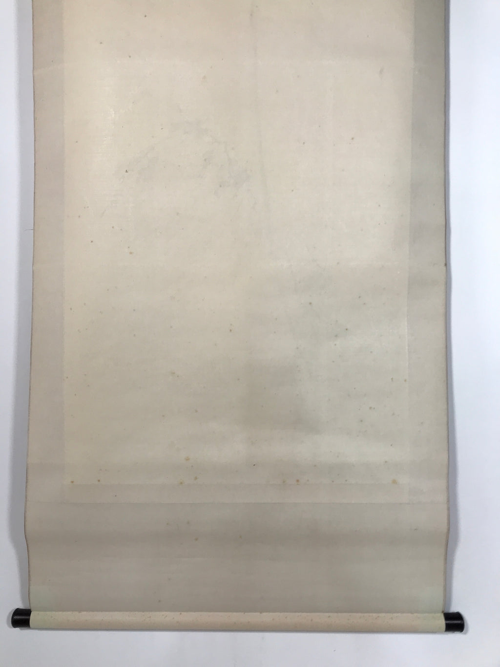 Japanese Boxed Hanging Scroll Vtg Bird Singing Old Tree Miyamoto Musashi KJ33