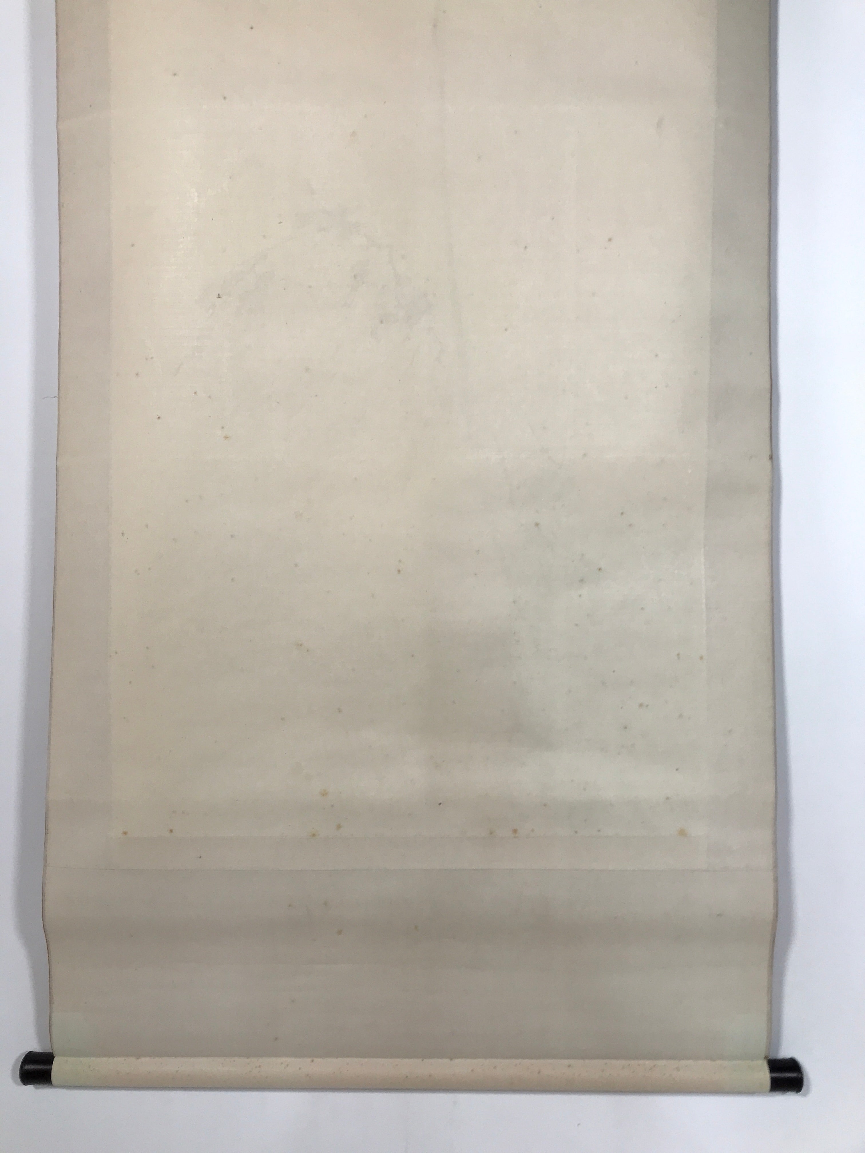 Japanese Boxed Hanging Scroll Vtg Bird Singing Old Tree Miyamoto Musashi KJ33