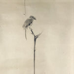 Japanese Boxed Hanging Scroll Vtg Bird Singing Old Tree Miyamoto Musashi KJ33