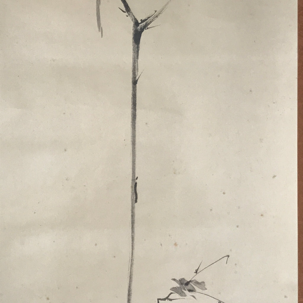 Japanese Boxed Hanging Scroll Vtg Bird Singing Old Tree Miyamoto Musashi KJ33