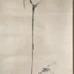 Japanese Boxed Hanging Scroll Vtg Bird Singing Old Tree Miyamoto Musashi KJ33