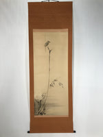 Japanese Boxed Hanging Scroll Vtg Bird Singing Old Tree Miyamoto Musashi KJ33