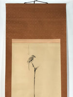 Japanese Boxed Hanging Scroll Vtg Bird Singing Old Tree Miyamoto Musashi KJ33