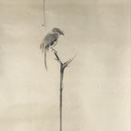 Japanese Boxed Hanging Scroll Vtg Bird Singing Old Tree Miyamoto Musashi KJ33
