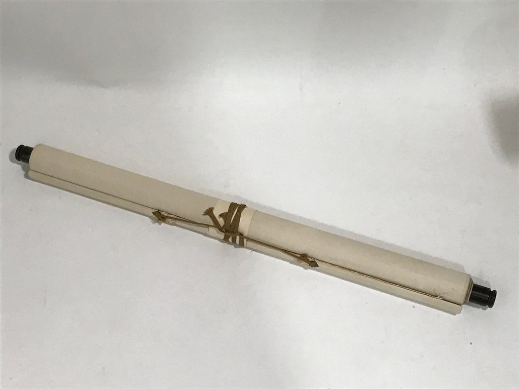 Japanese Boxed Hanging Scroll Vtg Chrysanthemum Kakejiku Chagake SC969