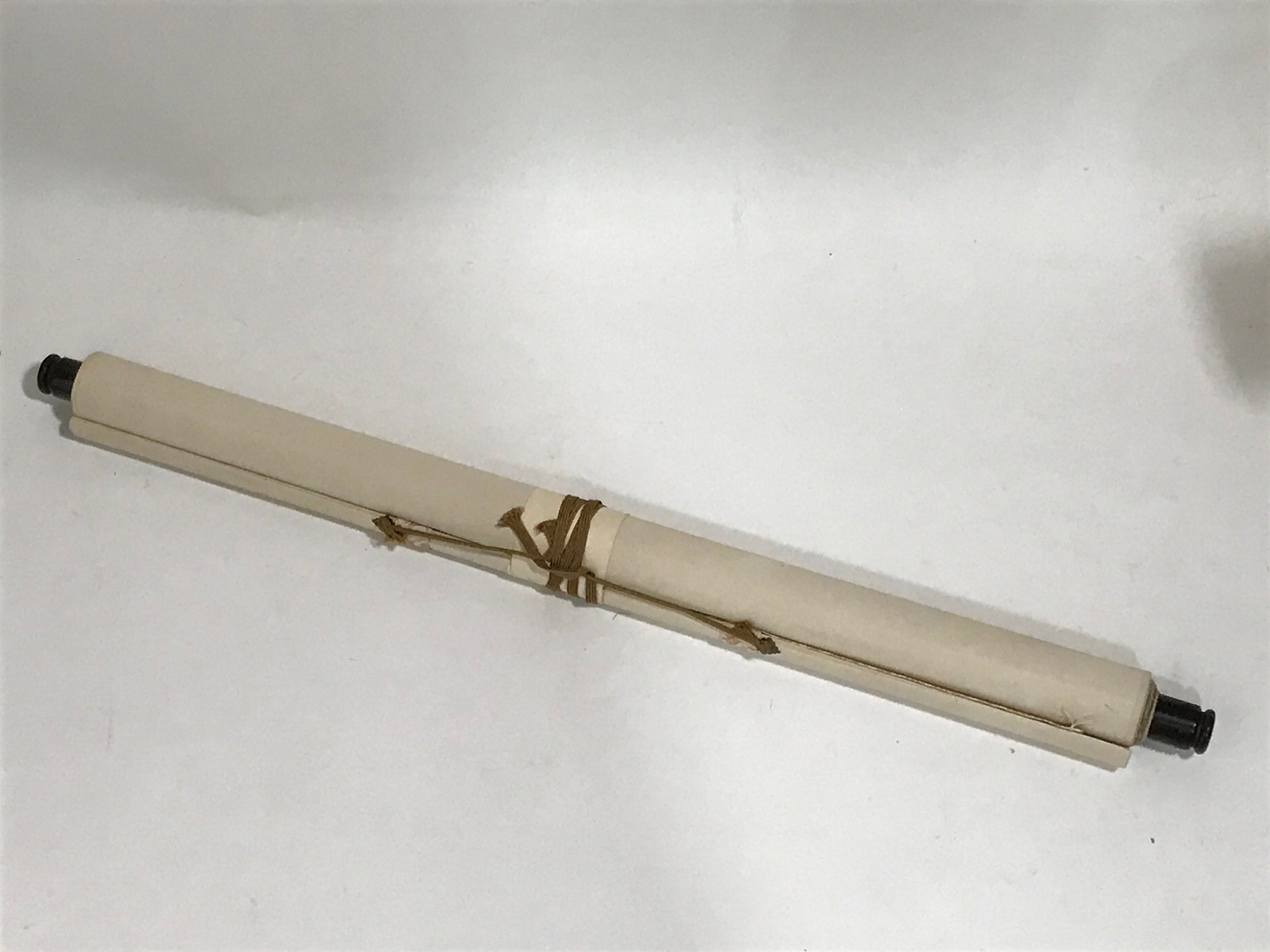 Japanese Boxed Hanging Scroll Vtg Chrysanthemum Kakejiku Chagake SC969