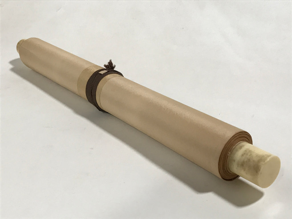 Japanese Boxed Hanging Scroll Vtg Guardian White Dragon Zenkai Kakejiku KJ158