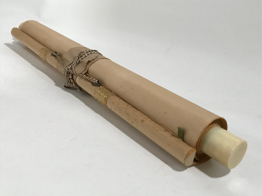 Japanese Boxed Hanging Scroll Vtg Guardian White Dragon Zenkai Kakejiku KJ36