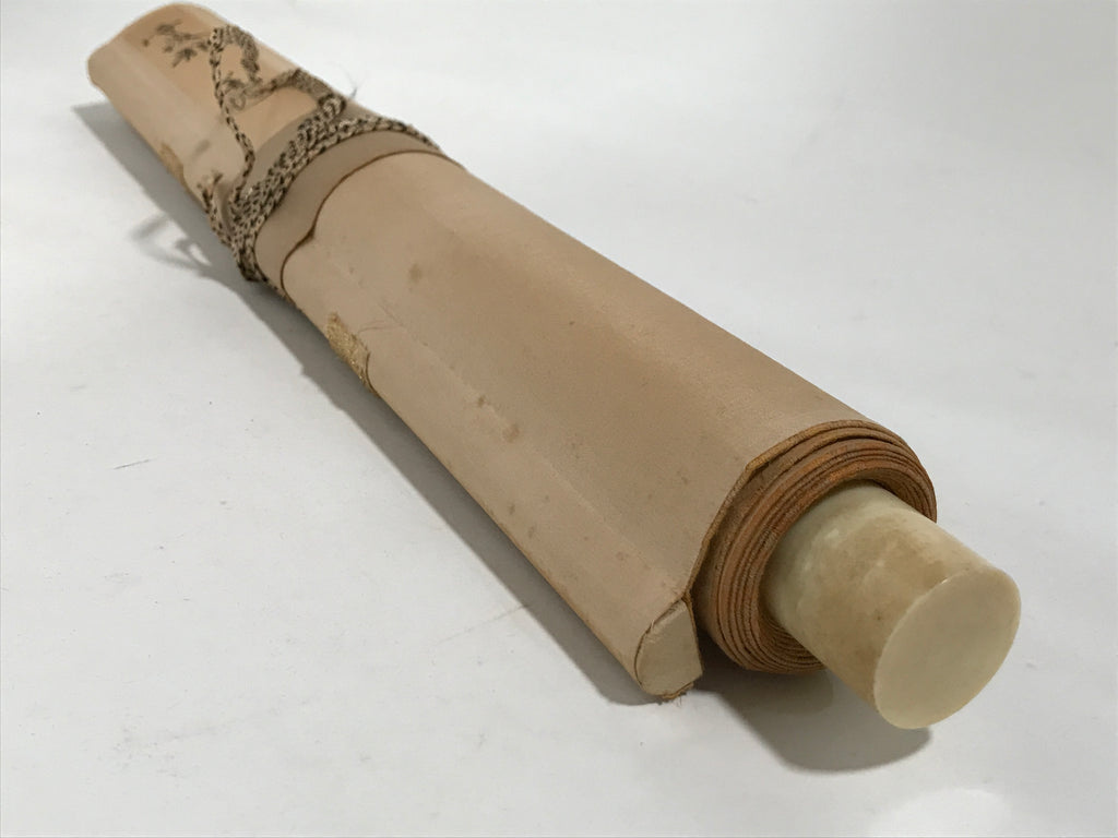 Japanese Boxed Hanging Scroll Vtg Guardian White Dragon Zenkai Kakejiku KJ36