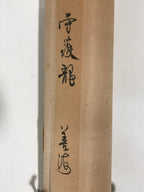 Japanese Boxed Hanging Scroll Vtg Guardian White Dragon Zenkai Kakejiku KJ36