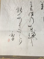 Japanese Boxed Hanging Scroll Vtg Kakejiku Sosho Cursive Calligraphy Black KJ147