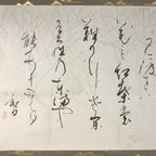 Japanese Boxed Hanging Scroll Vtg Kakejiku Sosho Cursive Calligraphy Black KJ147