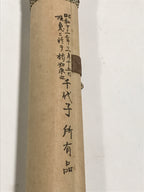 Japanese Boxed Hanging Scroll Vtg Kakejiku Standing Hina Dolls Portrait KJ159