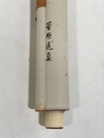 Japanese Boxed Hanging Scroll Vtg Kakejiku Sugawara No Michizane Portrait KJ144