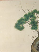 Japanese Boxed Hanging Scroll Vtg Kakejiku Sugawara No Michizane Portrait KJ144