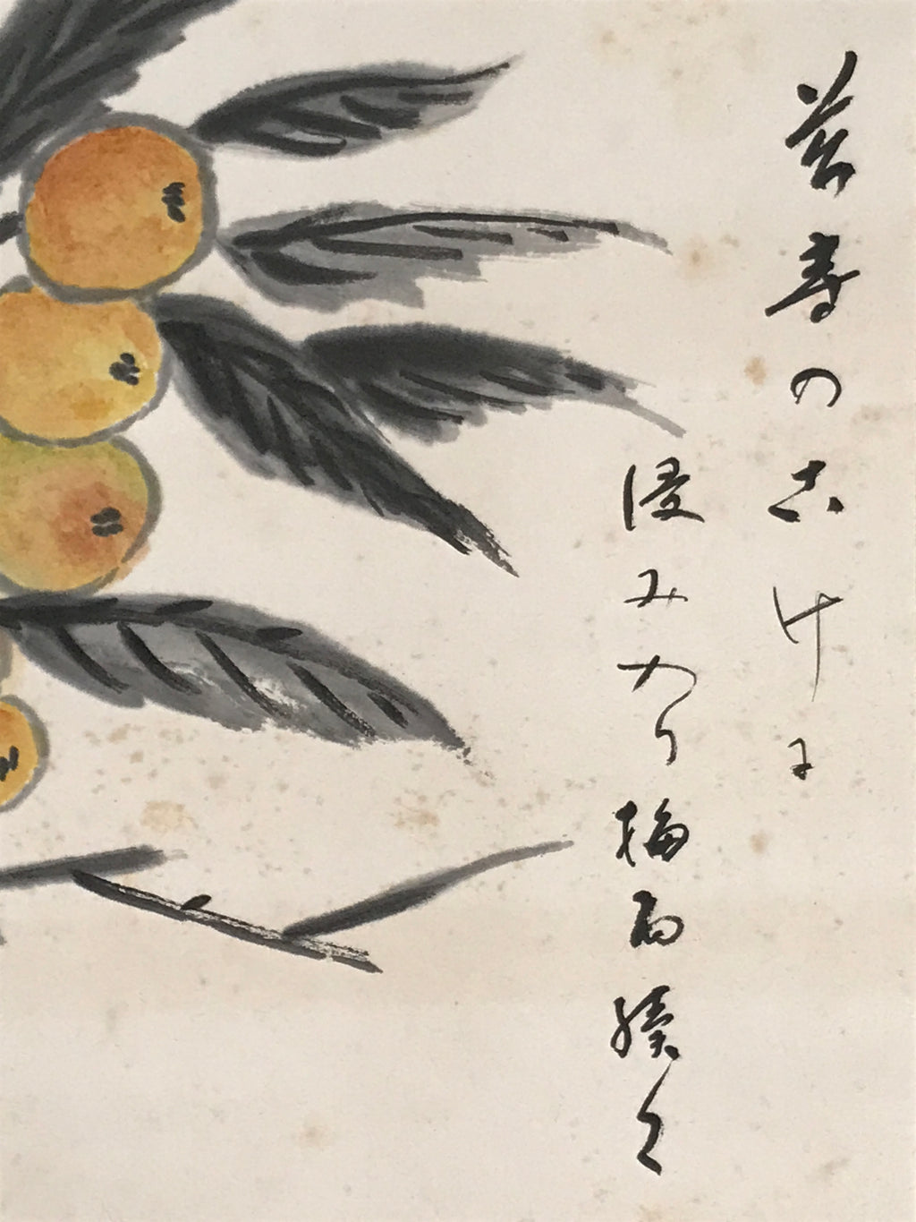 Japanese Boxed Hanging Scroll Vtg Loquat Biwa Poem Square Kakejiku KJ39