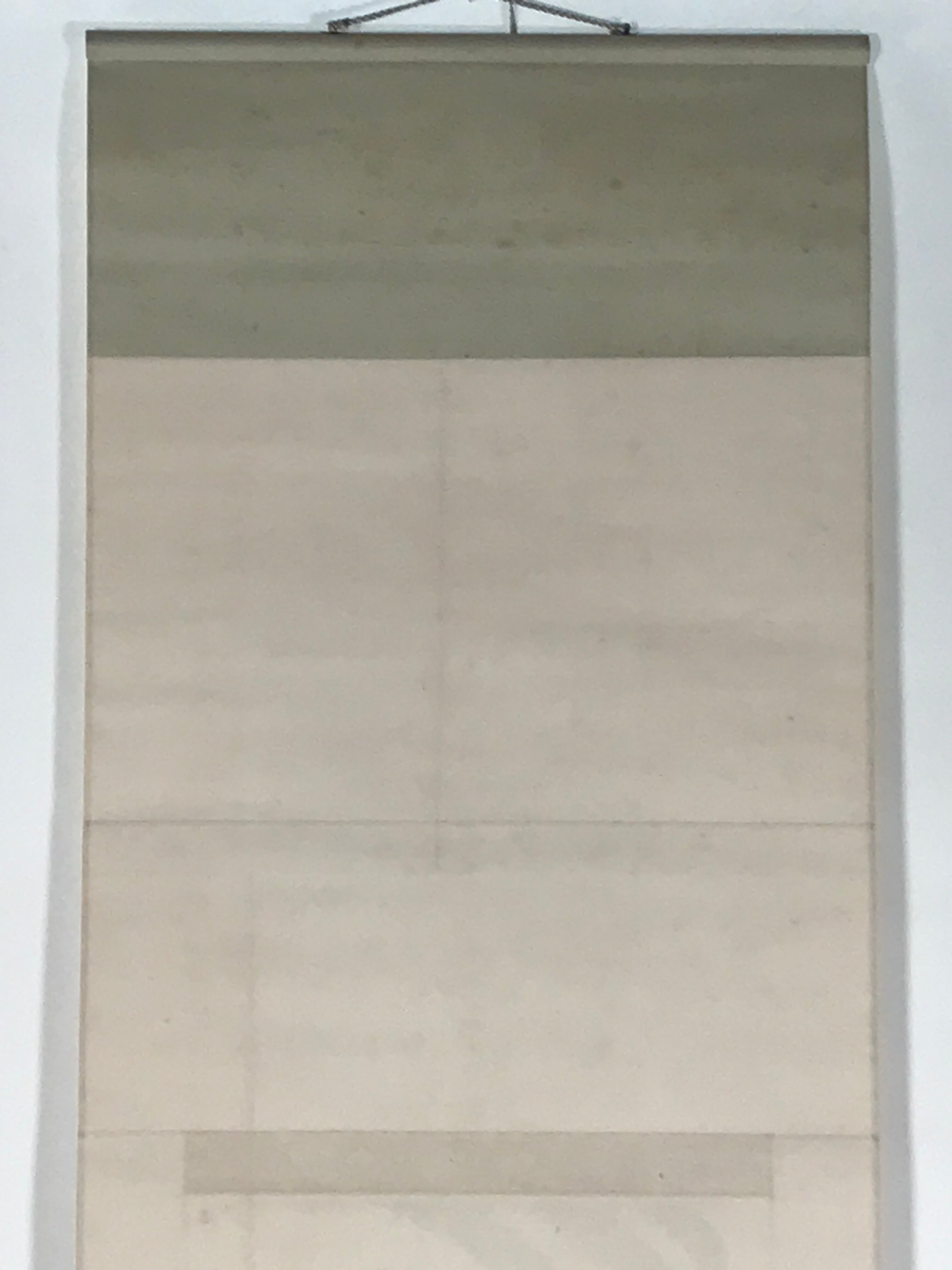 Japanese Boxed Hanging Scroll Vtg Loquat Biwa Poem Square Kakejiku KJ39