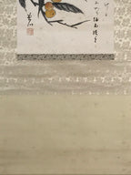 Japanese Boxed Hanging Scroll Vtg Loquat Biwa Poem Square Kakejiku KJ39