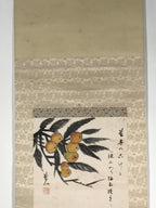 Japanese Boxed Hanging Scroll Vtg Loquat Biwa Poem Square Kakejiku KJ39